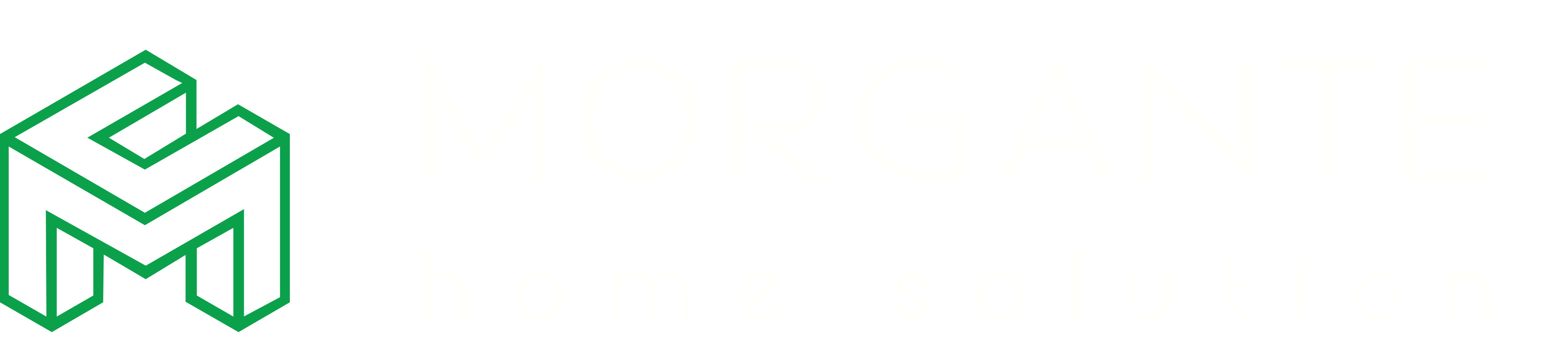 Morgante Home Solution
